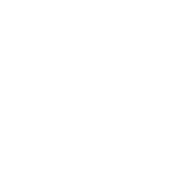Drone icon